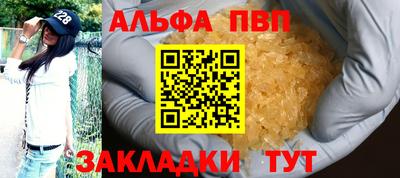 кокс Гатчина