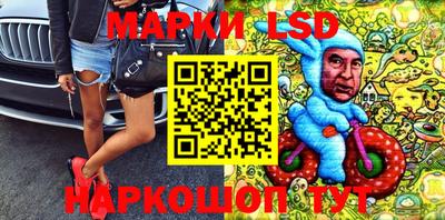 кокс Гатчина