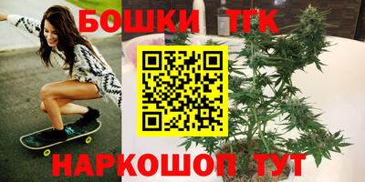 кокс Гатчина