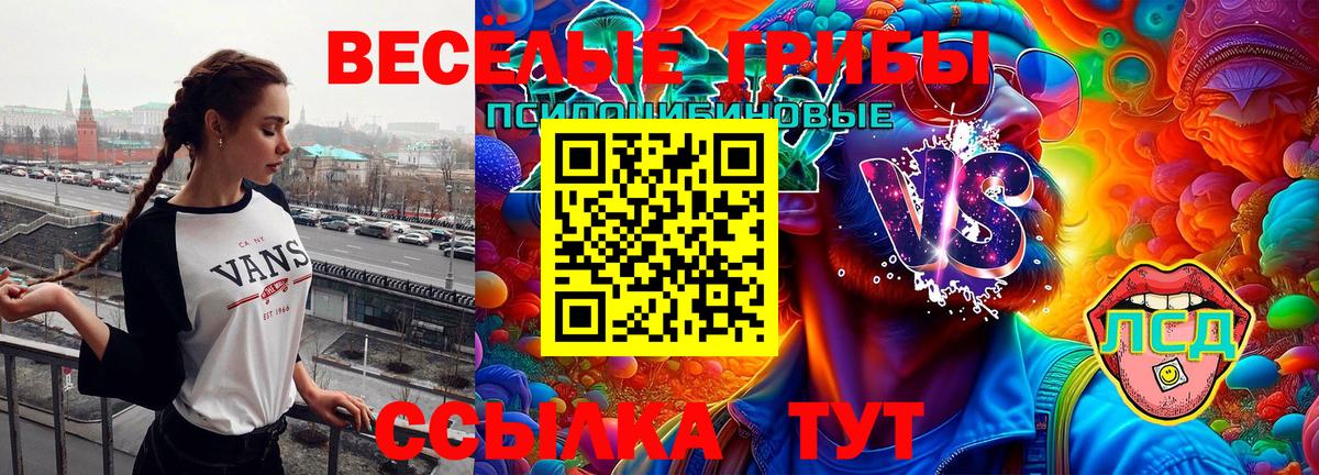 Псилоцибиновые грибы Psilocybe Екатеринбург