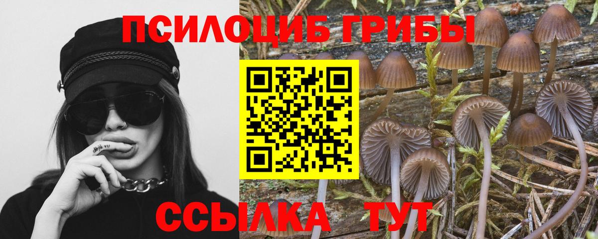 Екатеринбург  Псилоцибиновые грибы Psilocybe  Галлюциногенные грибы Psilocybine cubensis  Вход с VPN 